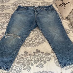 Loft Womens Plus Jeans -